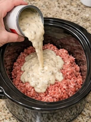 Crockpot Creamy Mushroom Beef