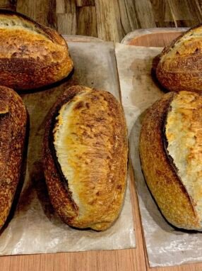 Creating and Maintaining a Stiff Sourdough Starter for Warmer Environments