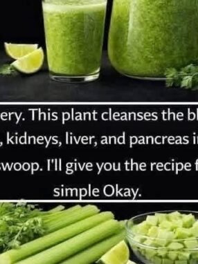 Fresh Celery Detox Juice