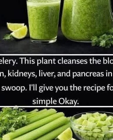Fresh Celery Detox Juice