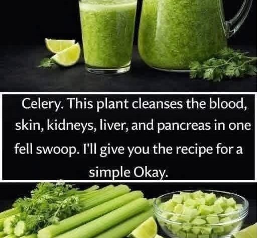 Fresh Celery Detox Juice