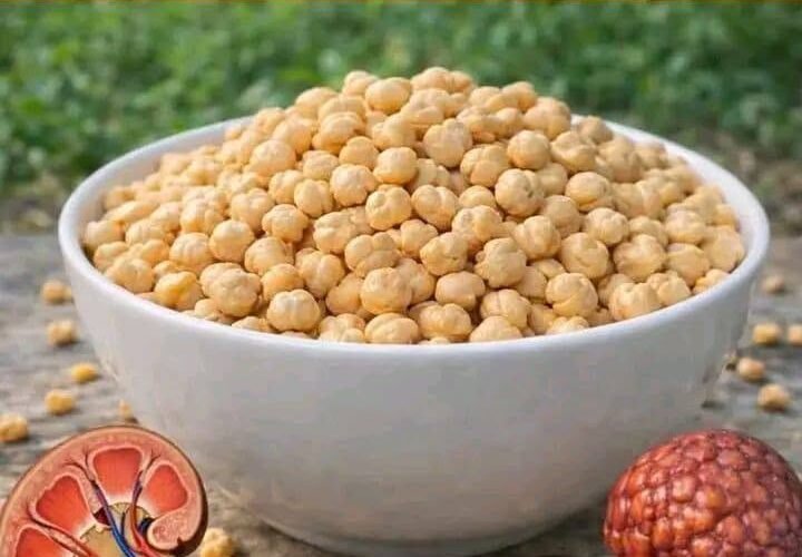Protein Choices for Kidney Health